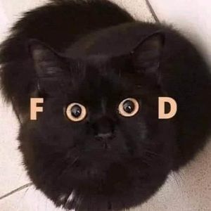 Meet your Posher, Jingshan